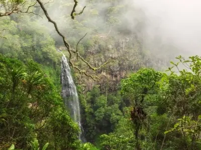 Rừng mưa Queensland di sản thiên nhiên thế giới nổi bật