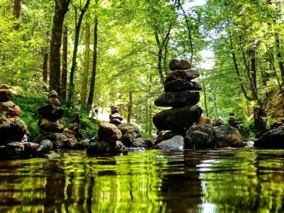 Vai trò của rừng tự nhiên trong điều hòa khí hậu toàn cầu