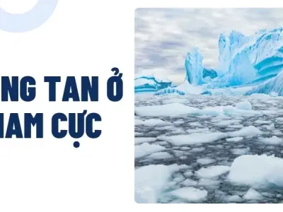Băng tan ở Nam Cực mở ra thảm cảnh khó ngờ cho Trái Đất