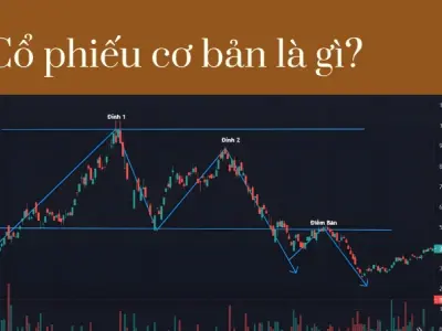 Bắt đầu hành trình đầu tư- Hướng dẫn cơ bản về cổ phiếu