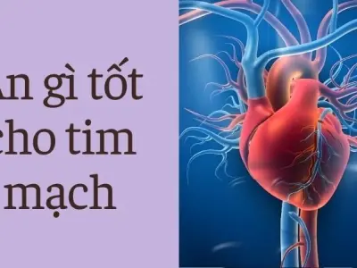 Bạn có biết ăn gì tốt cho tim mạch để sống khỏe mỗi ngày?