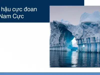 Khí hậu Nam Cực và bí ẩn về vùng đất lạnh nhất Trái Đất