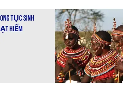 Trải nghiệm thế giới hoang sơ của các bộ tộc Châu Phi