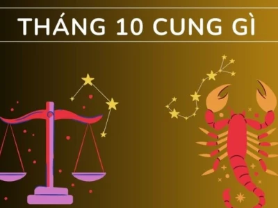 25/10 Cung Gì? Giải Mã Tính Cách Người Sinh Tháng 10 Chi Tiết Nhất