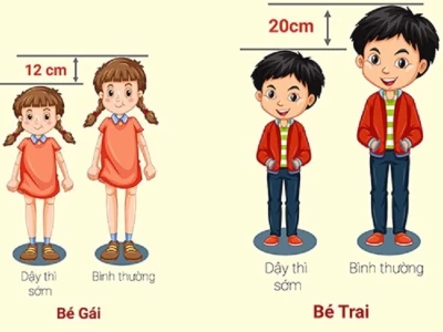 Biểu hiện dậy thì sớm ở bé gái: Dấu hiệu nhận biết và giải pháp