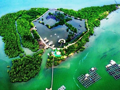 Cù lao là gì? Khám phá ý nghĩa và đặc trưng độc đáo