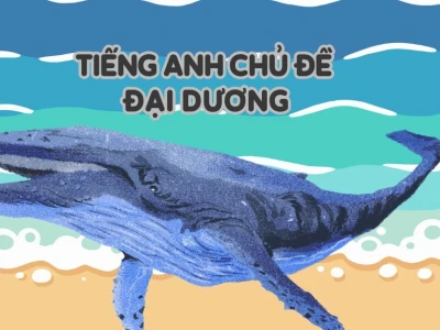 Đại Dương Tiếng Anh Là Gì? Khám Phá Các Đại Dương Trên Thế Giới