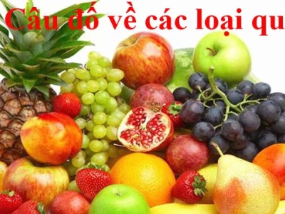 Giải mã 30+ câu đố về hoa quả hấp dẫn cho bé yêu