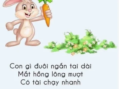 Giải mã những câu đố con vật khó nhằn nhất thế giới