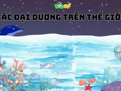 Khám phá Bắc Băng Dương đại dương nhỏ nhất thế giới