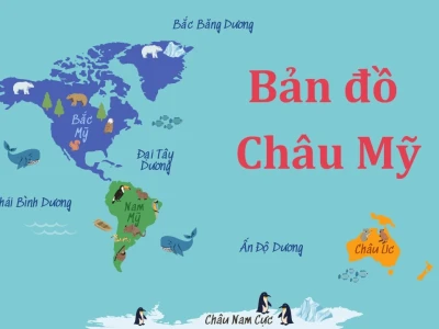 Khám phá bản đồ các nước châu Mỹ và thế giới quan trực quan