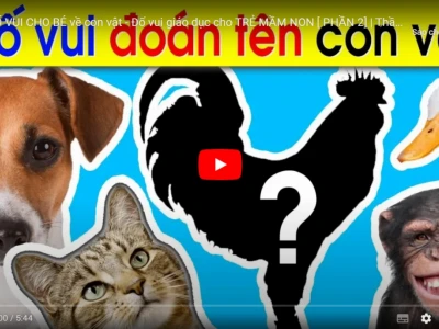 Khám Phá Thế Giới Qua Câu Đố Vui Cho Trẻ 4 Tuổi