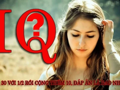 Những Câu Đố IQ Hại Não: Thử Thách Trí Tuệ Đỉnh Cao Năm 2026