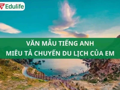 Tây Nguyên tiếng Anh là gì và cách gọi tên các vùng miền Việt Nam