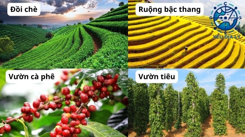 nong-nghiep-viet-nam