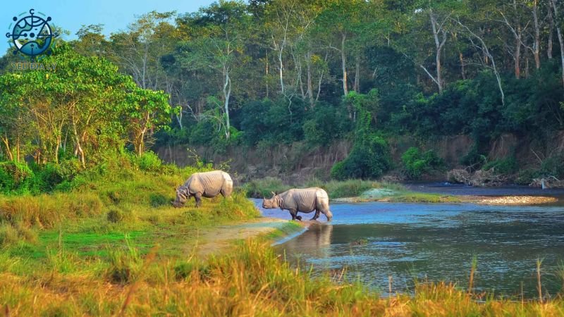 Công viên quốc gia Chitwan