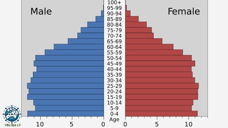 Đặc điểm về cơ cấu dân số