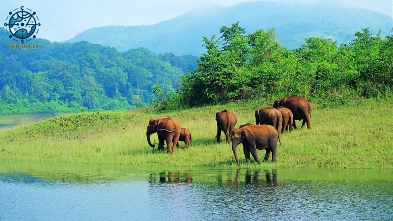 Khu bảo tồn động vật hoang dã Matobo