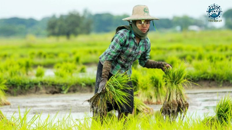 Kinh tế Myanmar