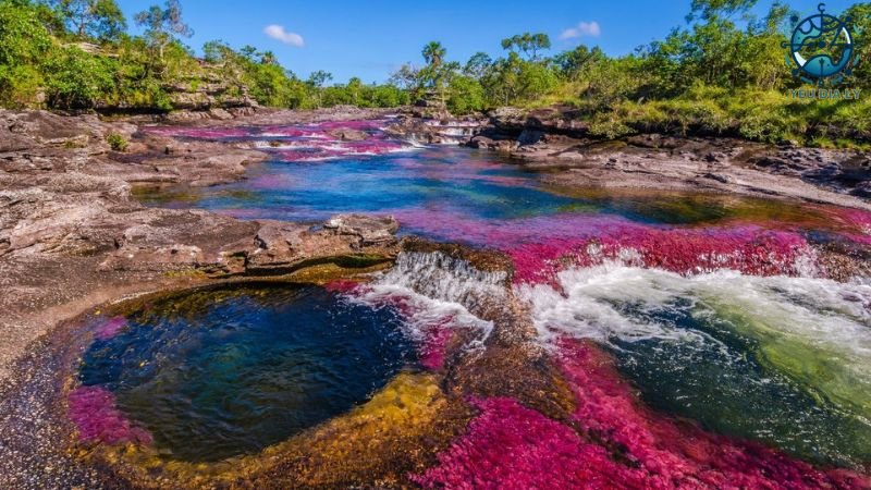 Caño Cristales (Sông pha lê)