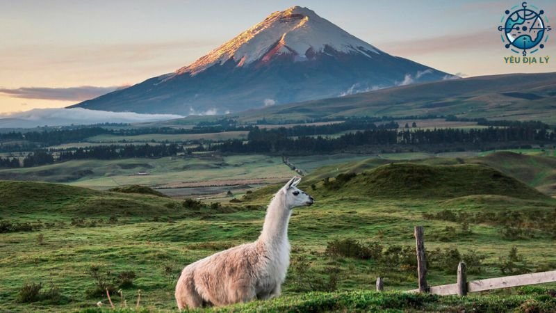 Giới thiệu chung về Ecuador 