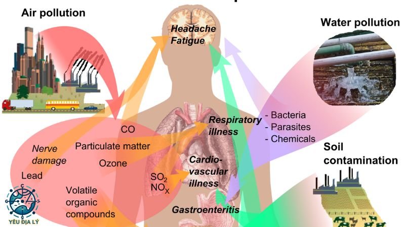 Hậu quả của ô nhiễm không khí 2