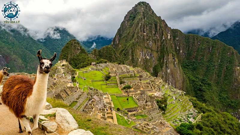 Machu Picchu