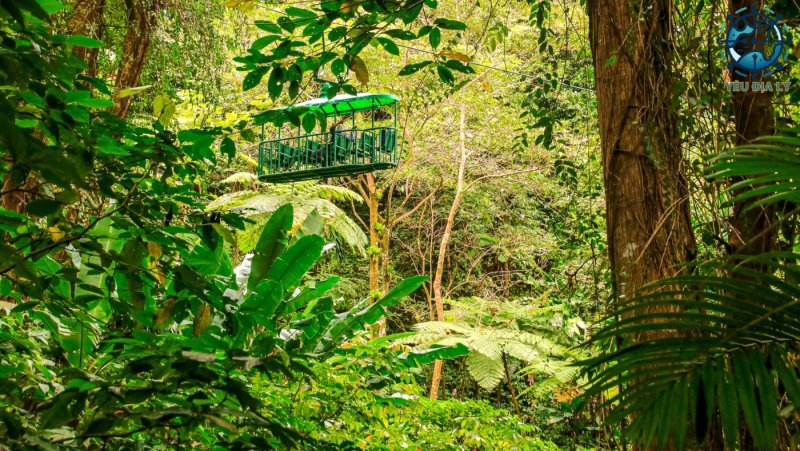 Rừng nhiệt đới Saint Lucia