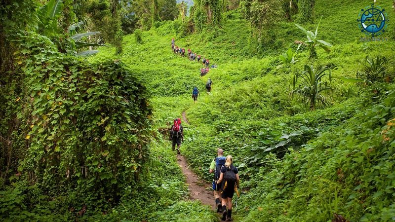 Tuyến đường mòn Kokoda