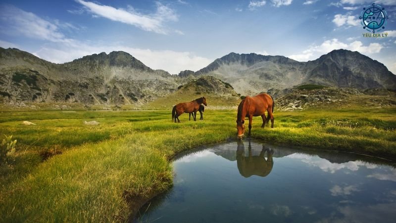 Vườn quốc gia Pirin