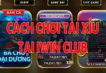 Hướng dẫn cách chơi Tài Xỉu tại iWin Club dễ hiểu và chi tiết nhất