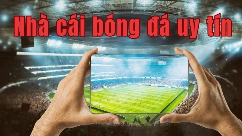 Top 5 những nhà cái cá độ bóng đá uy tín