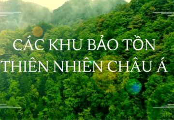 Top 9 khu bảo tồn thiên nhiên Châu Á không thể bỏ lỡ 