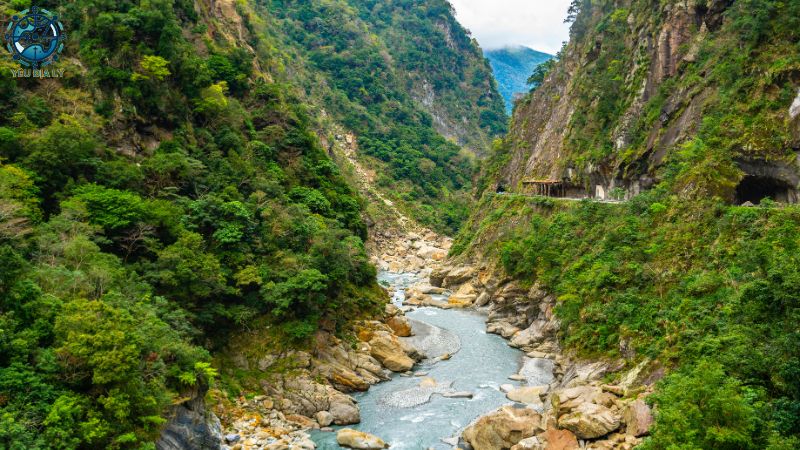 Khu bảo tồn thiên nhiên Châu Á - 11