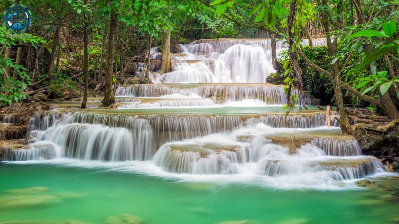 Khu bảo tồn thiên nhiên Châu Á - 14