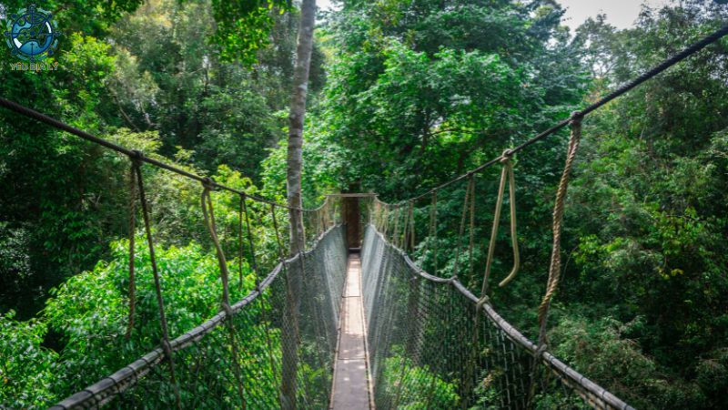 Khu bảo tồn thiên nhiên Châu Á - 3