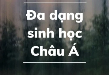 Những điều thú vị về đa dạng sinh học Châu Á bạn chưa biết