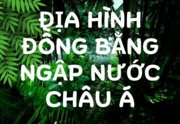 Tìm hiểu về địa hình đồng bằng ngập nước Châu Á 