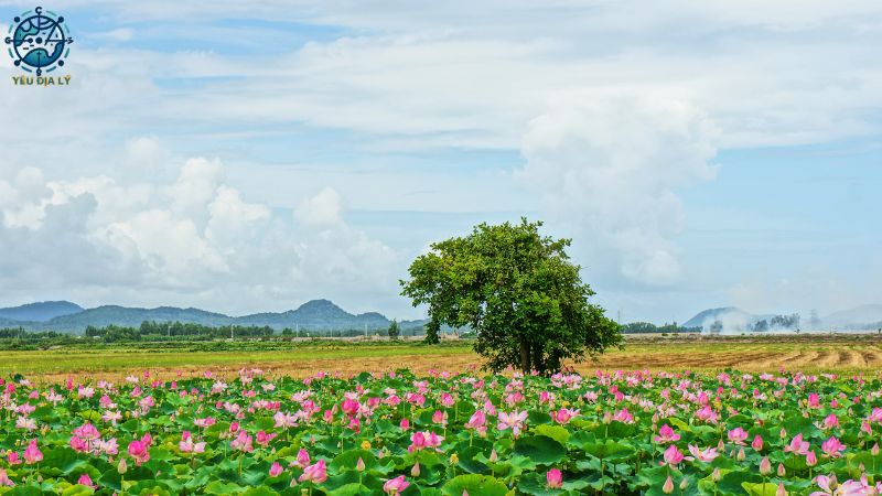 Địa hình đồng bằng ngập nước Châu Á - 11