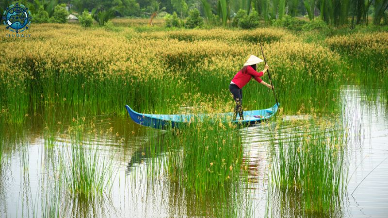 Địa hình đồng bằng ngập nước Châu Á - 17