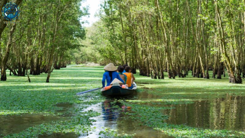 Địa hình đồng bằng ngập nước Châu Á - 4