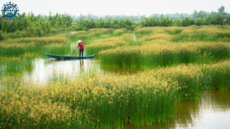 Hệ thống sông Hồng Châu Á - 4