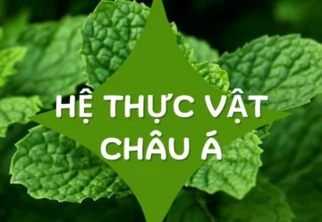 Khám phá hệ thực vật Châu Á – Sự phong phú và đa dạng