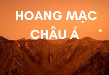 Tầm quan trọng của hoang mạc Châu Á trong sinh thái