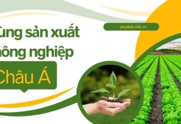 Vùng sản xuất nông nghiệp Châu Á và vai trò toàn cầu