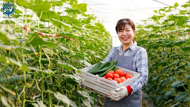 Vùng sản xuất nông nghiệp Châu Á - 14