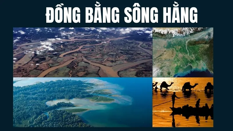 Đồng bằng sông Hằng (Ấn Độ và Bangladesh)